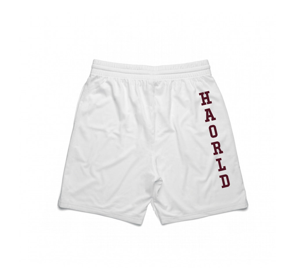 University Basketball Shorts