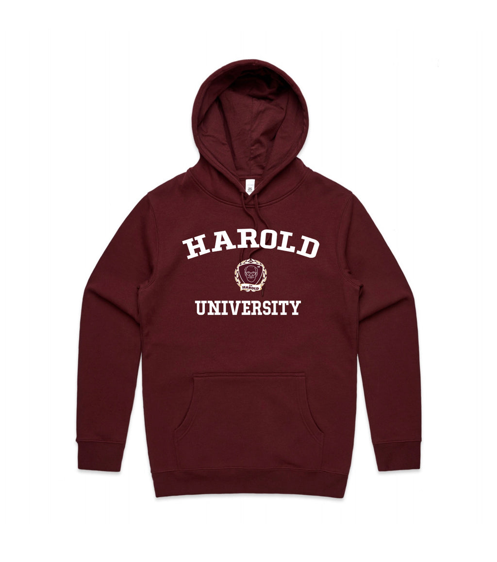 University Hoodie